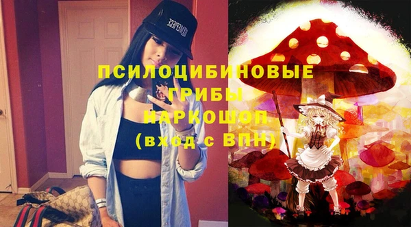 крисы Дмитриев