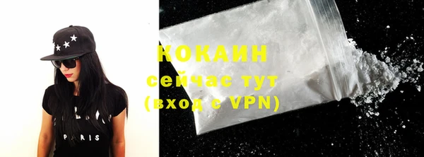 крисы Дмитриев