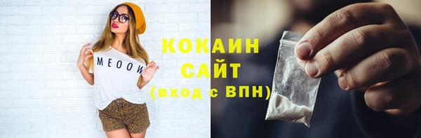 крисы Дмитриев