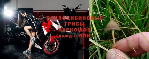 крисы Дмитриев