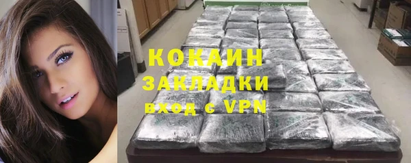 крисы Дмитриев